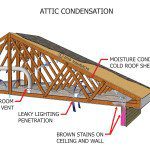 poor insulation and ventilation in the attic can cause mold