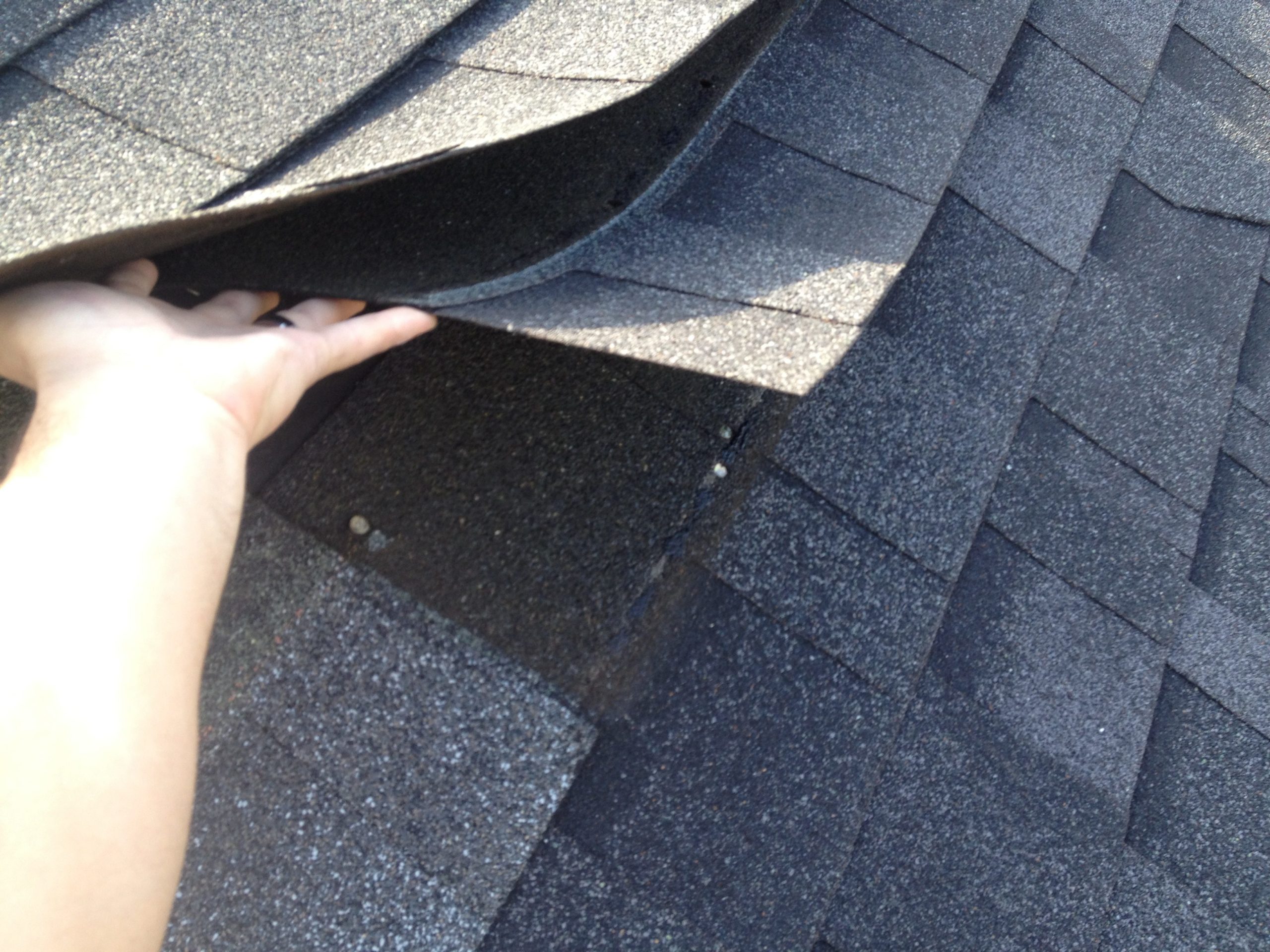 asphalt shingle adhesive strip failure