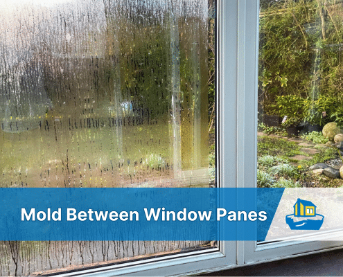 Title image of a window with condensation and mold between the panes with text "mold between window panes" laid over the image