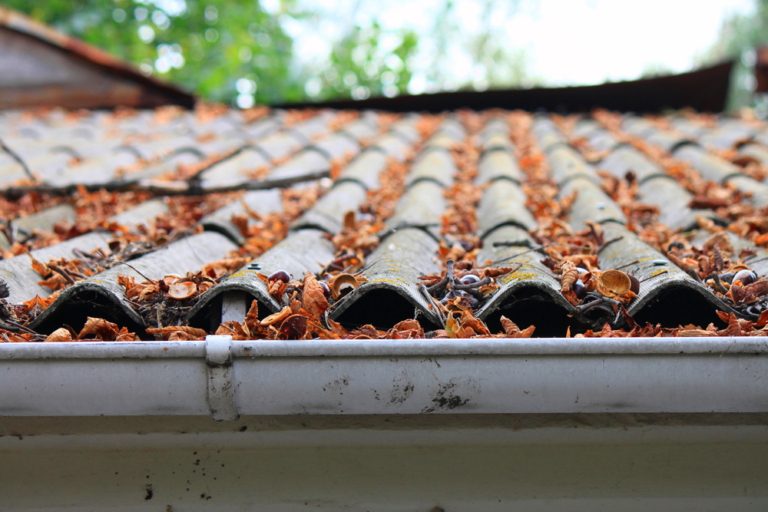 Gutters full of debris illustrating the importance of maintaining them in the fall