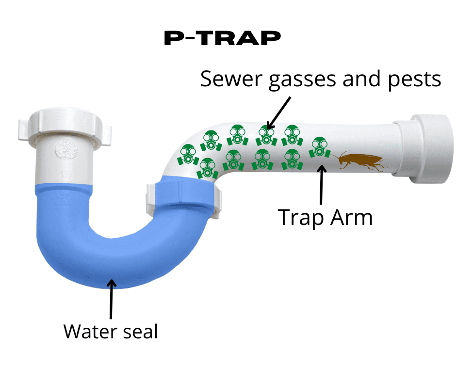 What is the Purpose of a PTrap? Richmond Home Inspector