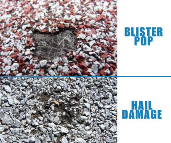 infographic blister pops vs hail damage on asphalt shingles