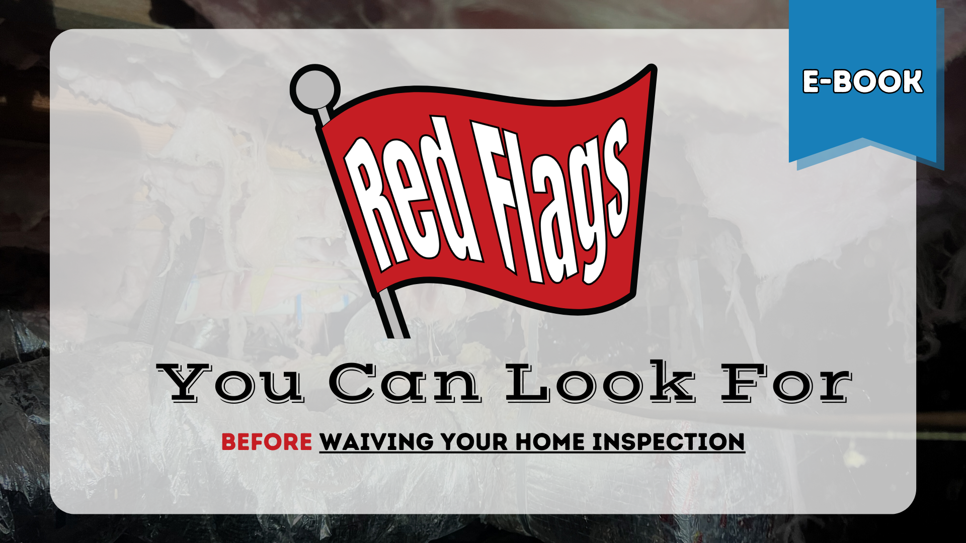 home inspection e book download