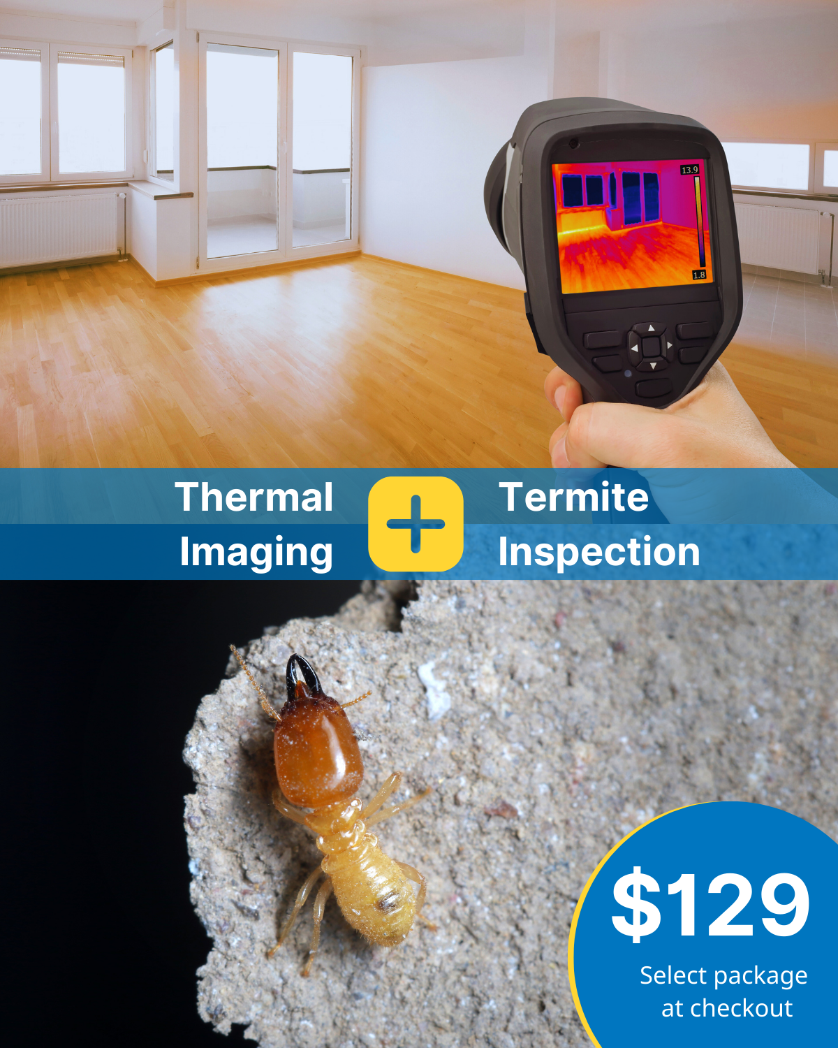 themal imaging and termite inspection package