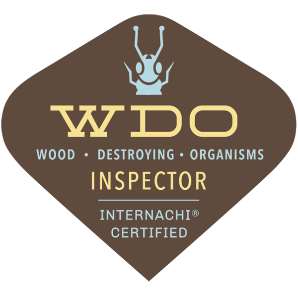 internachi certified wdo inspector